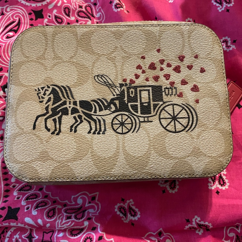Very trendy cute Coach camera bag